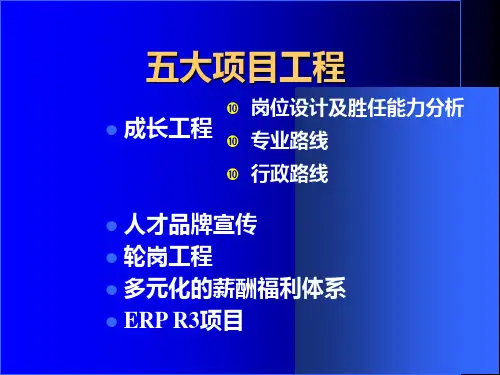 人力资源项目工程介绍