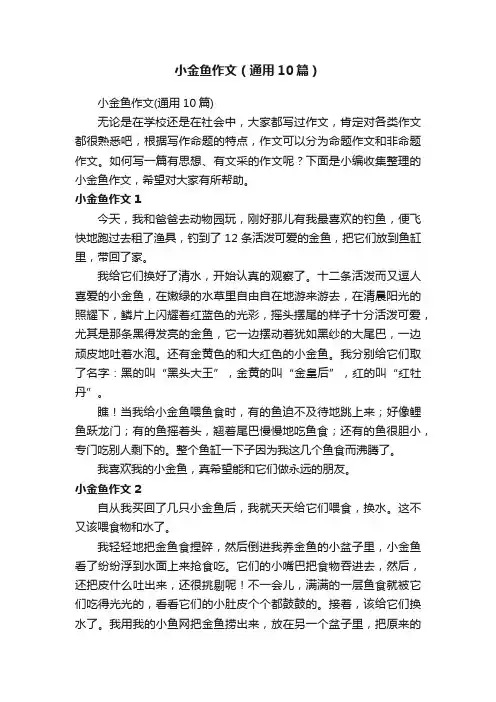 小金鱼作文（通用10篇）