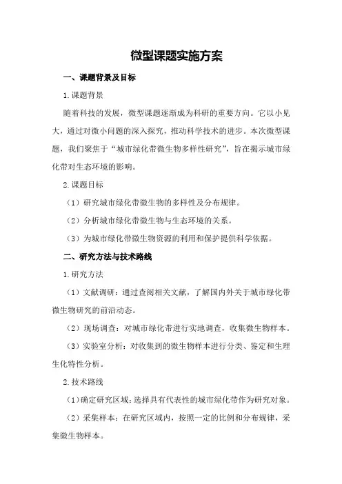 微型课题实施方案