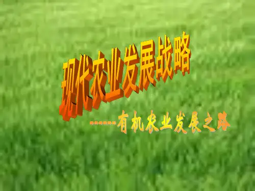 现代农业发展战略 ppt课件