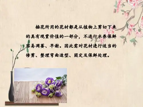 插花的基本方法 插花的基本技法