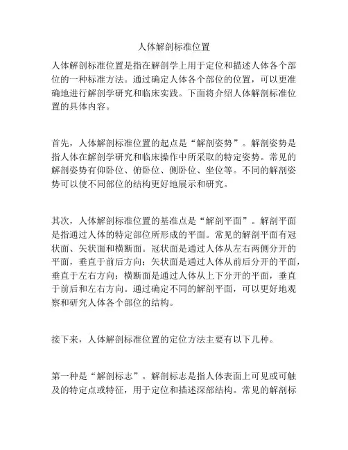 人体解剖标准位置