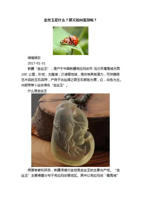 金丝玉是什么？那又如何鉴别呢？