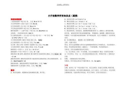 小升初数学所有知识点(重要)