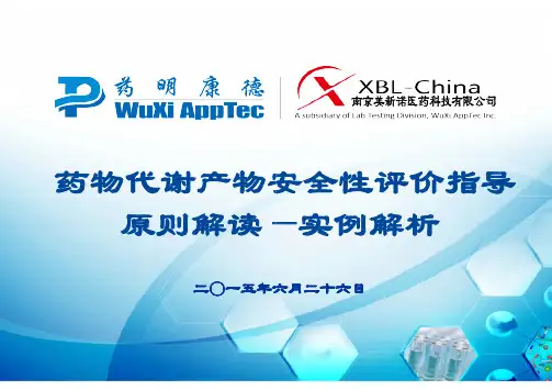 药物代谢产物安全性评价指导原则