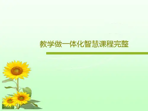 教学做一体化智慧课程完整19页PPT