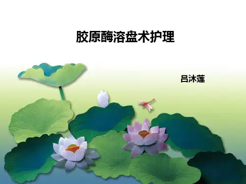 胶原酶溶盘术