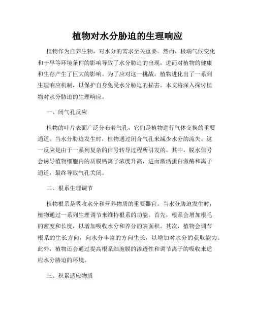 植物对水分胁迫的生理响应