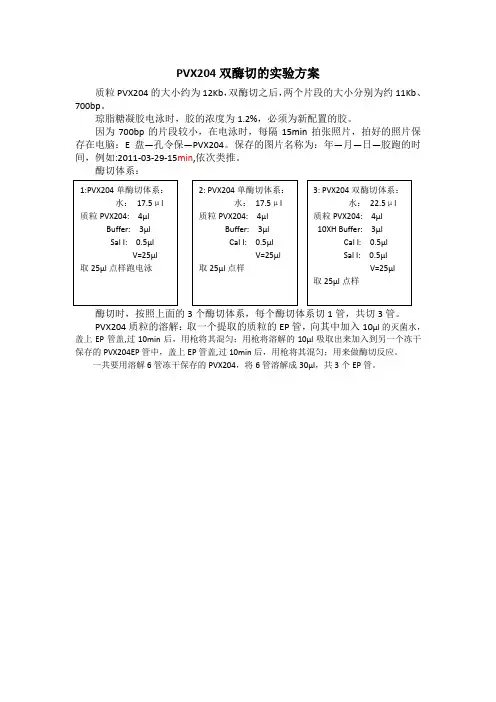 PVX204双酶切的实验方案