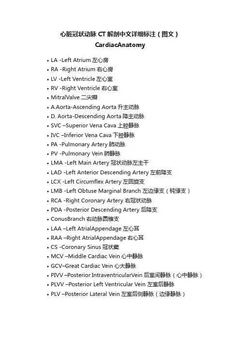 心脏冠状动脉CT解剖中文详细标注（图文）CardiacAnatomy