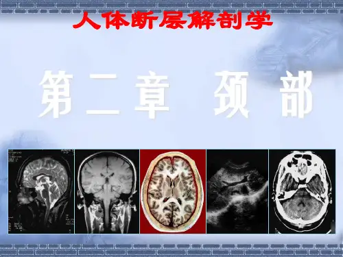 颈部断层解剖第一节概述最终.ppt