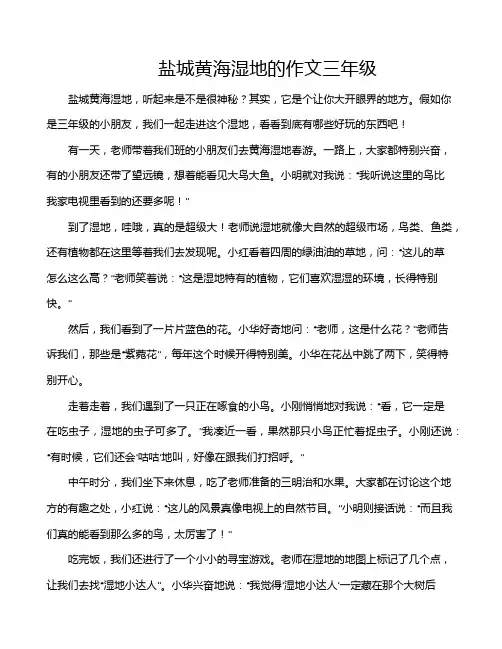 盐城黄海湿地的作文三年级