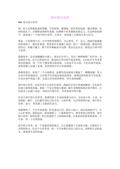 雨中的小世界