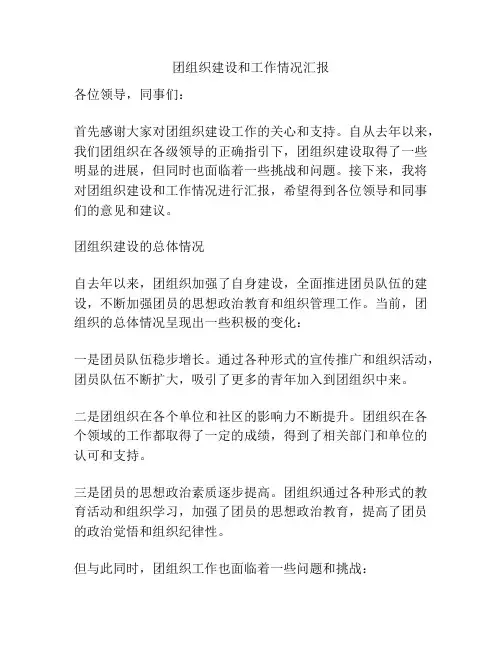 团组织建设和工作情况汇报