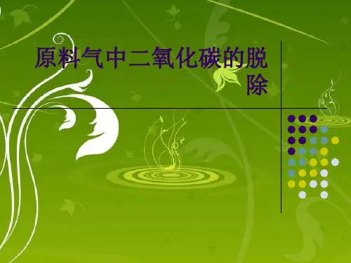 原料气中二氧化碳的脱除