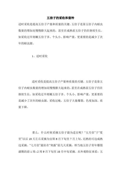 五倍子的采收和留种