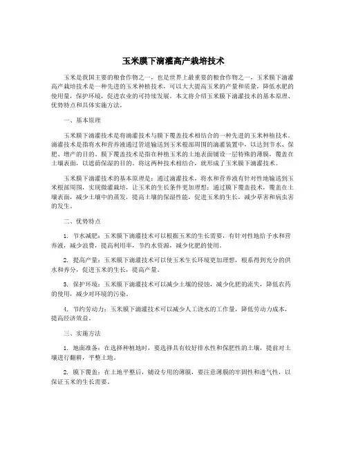 玉米膜下滴灌高产栽培技术