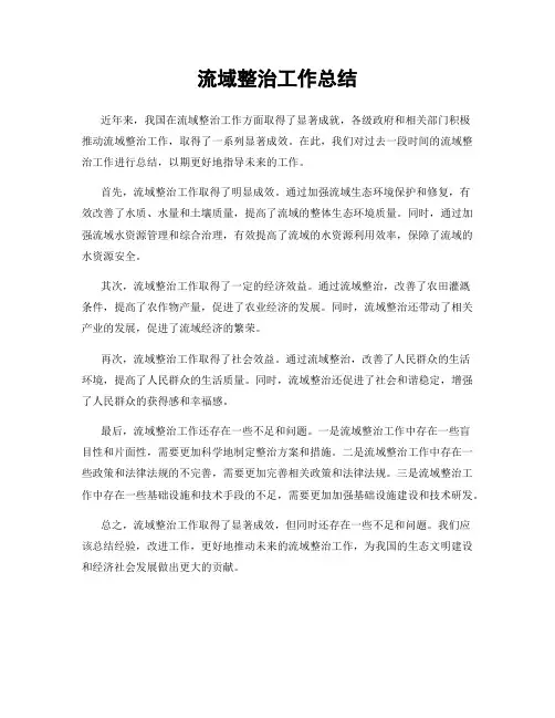 流域整治工作总结