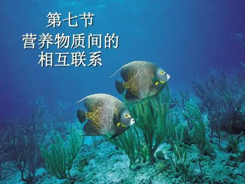 营养物质之间的相互作用 水产养殖