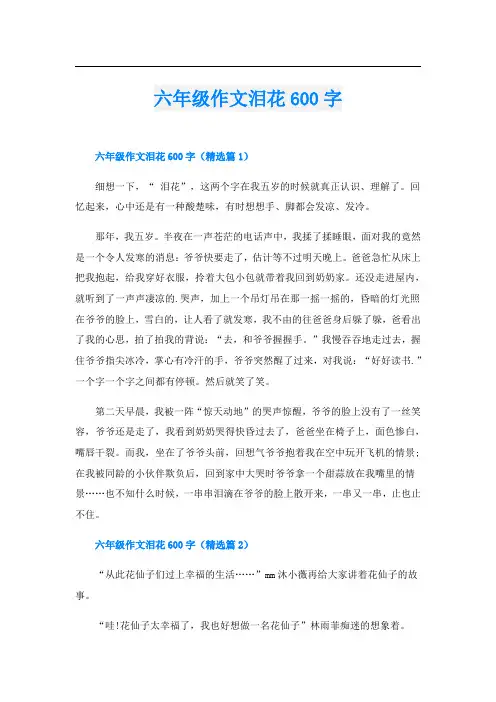 六年级作文泪花600字