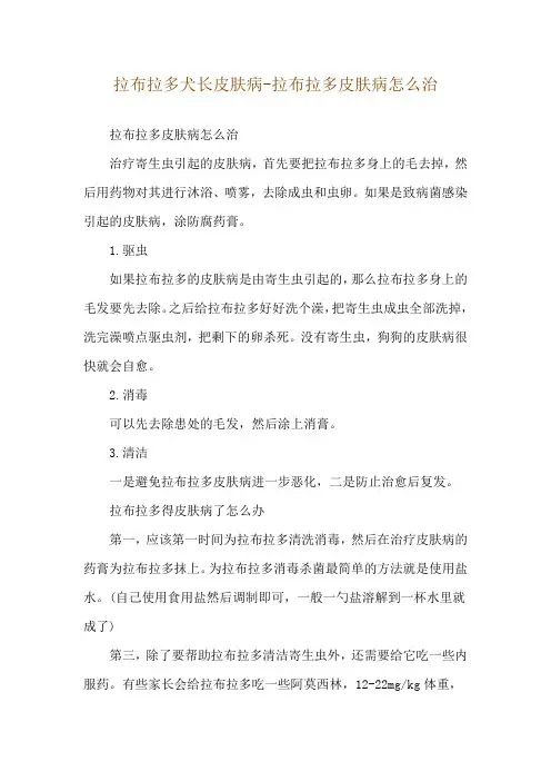 拉布拉多犬长皮肤病-拉布拉多皮肤病怎么治