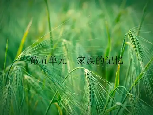 5.9《家》祖孙之间配套课件 新人教版选修《中国小说欣赏》课件