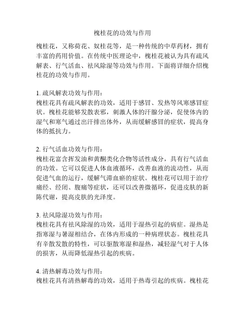 槐桂花的功效与作用