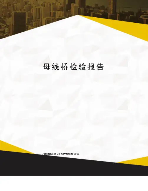 母线桥检验报告