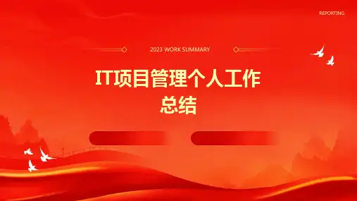 IT项目管理个人工作总结PPT