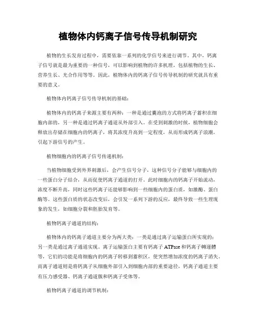 植物体内钙离子信号传导机制研究