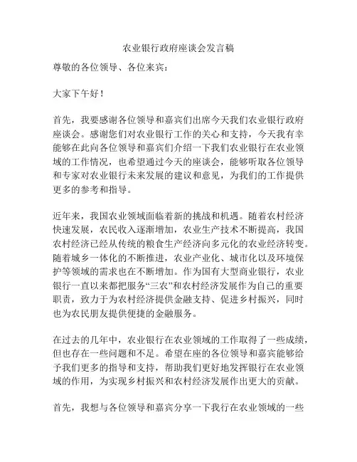 农业银行政府座谈会发言稿