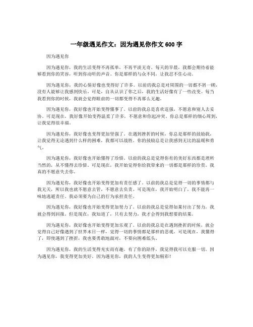 一年级遇见作文：因为遇见你作文600字