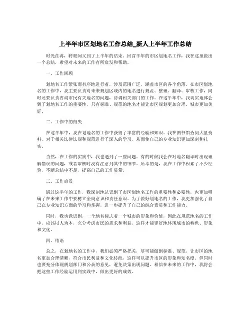 上半年市区划地名工作总结_新人上半年工作总结