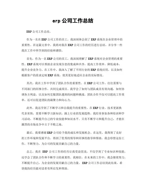erp公司工作总结