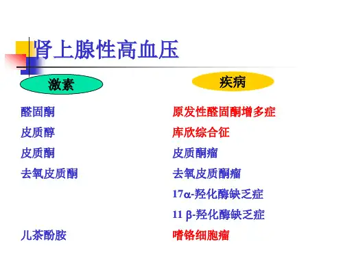 医学专题内分泌性高血压诊疗常规
