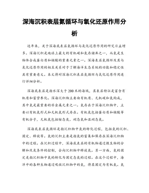 深海沉积表层氮循环与氧化还原作用分析