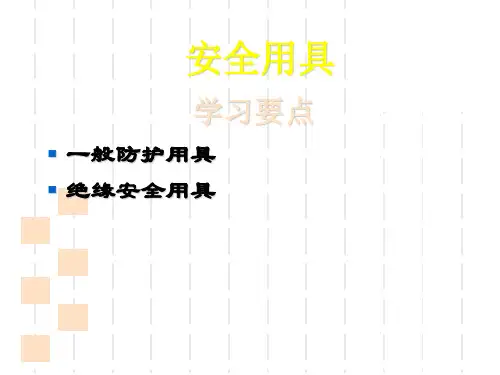 检修常用安全用具PPT课件