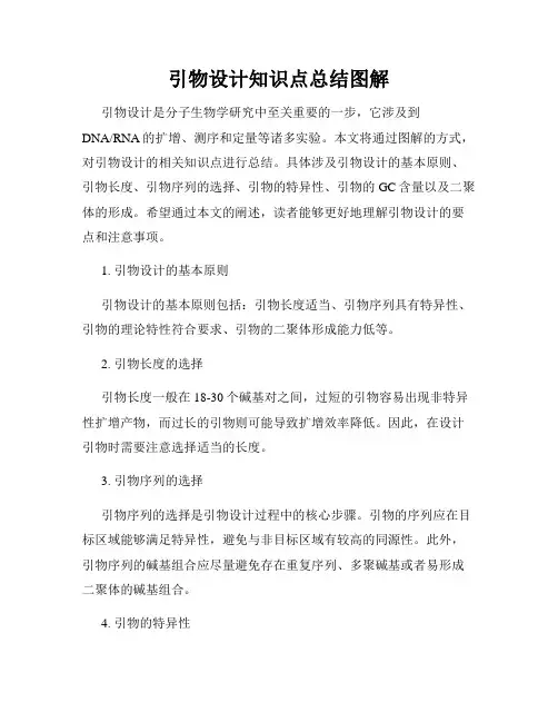 引物设计知识点总结图解