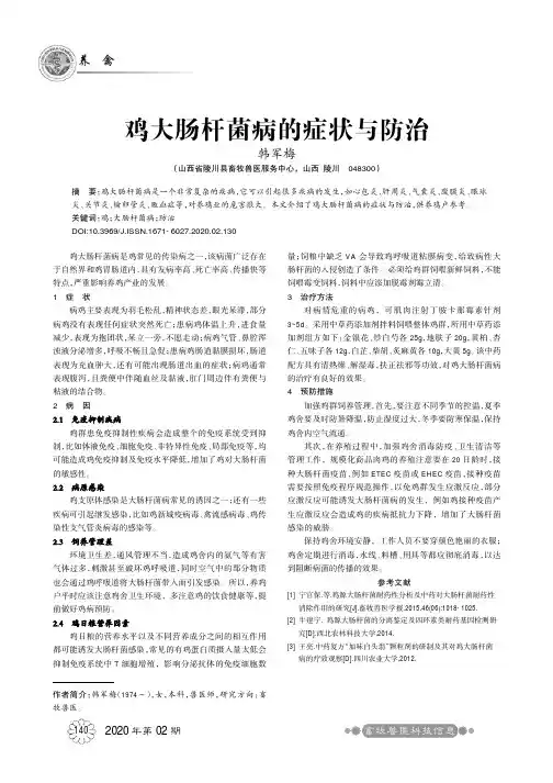 鸡大肠杆菌病的症状与防治