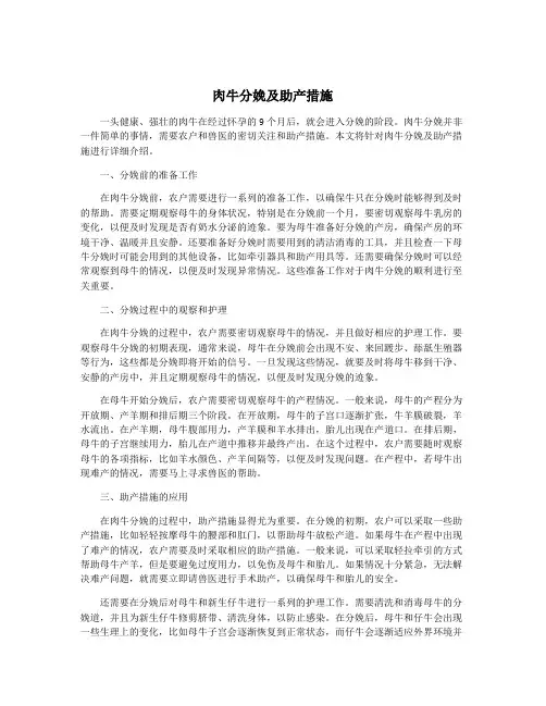 肉牛分娩及助产措施