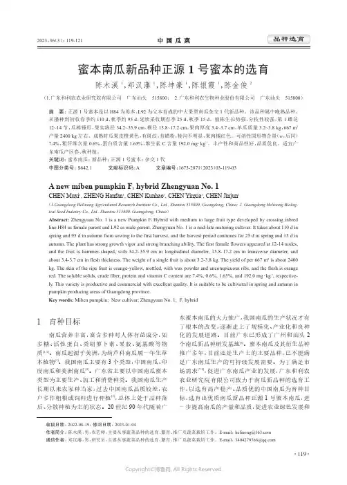 蜜本南瓜新品种正源1_号蜜本的选育