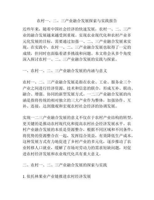 农村一、二、三产业融合发展探索与实践报告