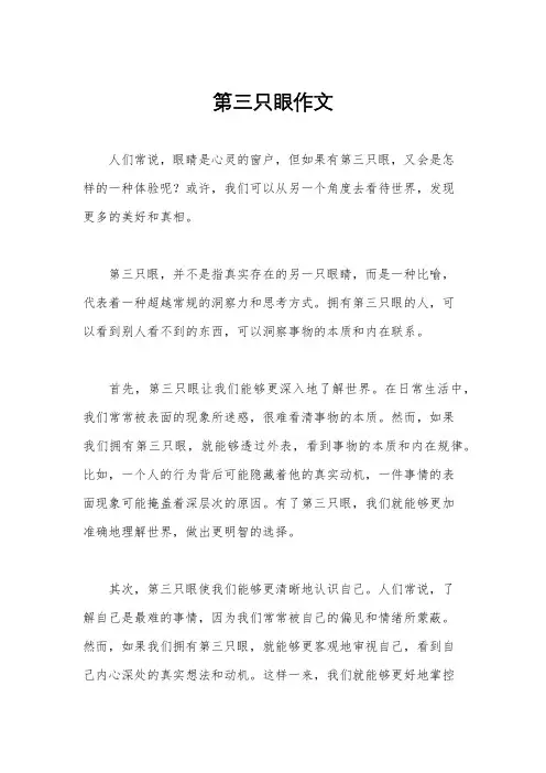 第三只眼作文