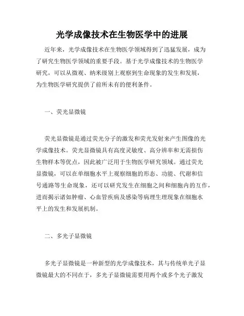 光学成像技术在生物医学中的进展