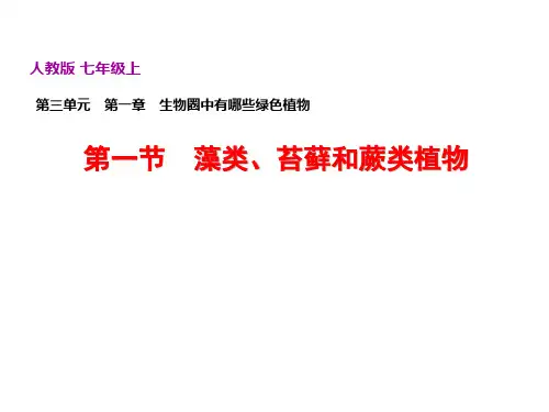 人教版生物七年级第3单元生物圈中的绿色植物第1章生物圈中有哪些绿色植物学习课件