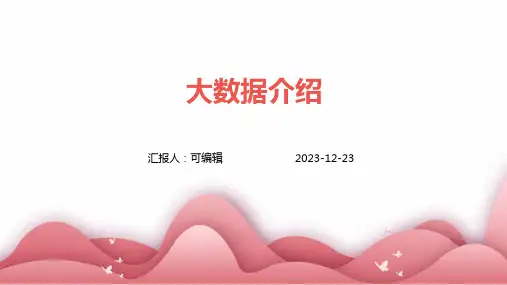 大数据介绍ppt