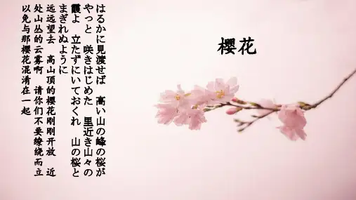 樱花讲解