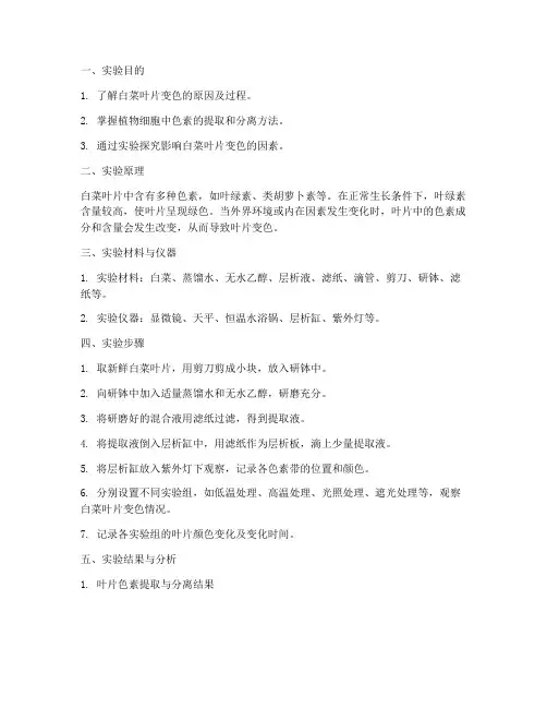 白菜变色生物实验报告