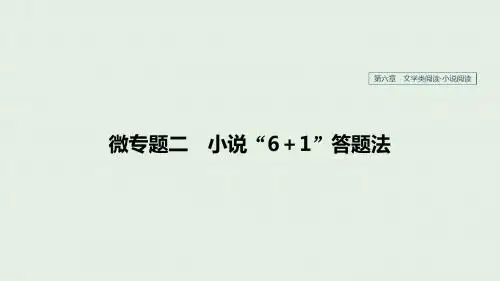 高考语文复习 第六章 文学类阅读小说阅读 微专题二 小