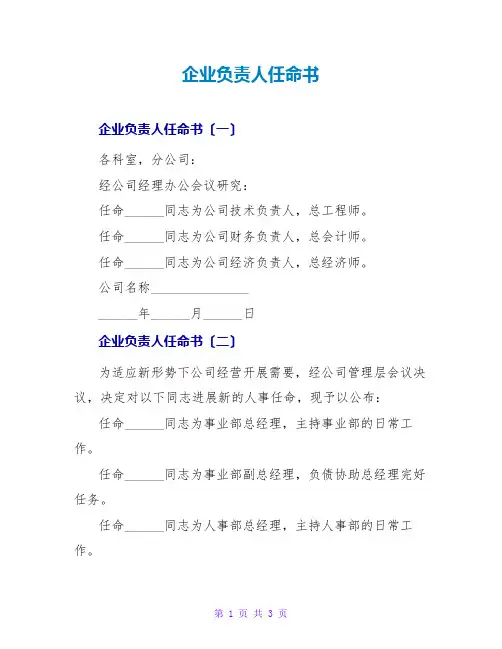 企业负责人任命书